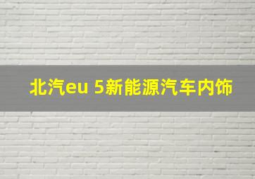 北汽eu 5新能源汽车内饰